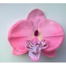 Mažos orchidėjos į plaukus (įvairių spalvų)